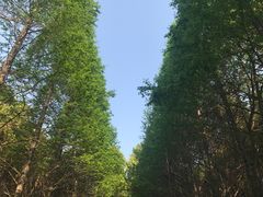 -同里国家湿地公园