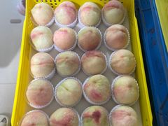 -老袁家蜜桃农场·阳山水蜜桃