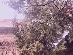 -苏州碑刻博物馆