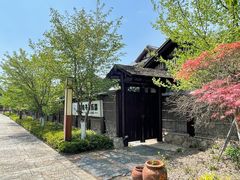 -西山漾湿地公园