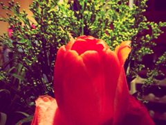 iphone_upload_pic-北京和园国际青年客栈