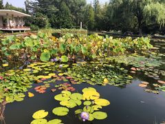 -国家植物园南园