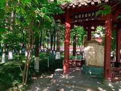 -温江公园