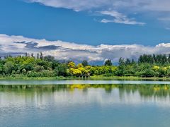 -东郊湿地公园