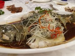 -金蝉食府(维吉奥广场店)