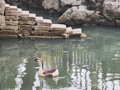 -龙华寺