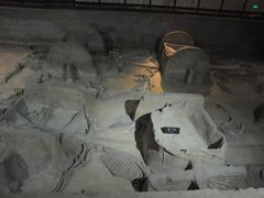 -洛阳周王城天子驾六博物馆