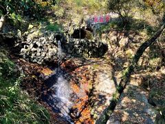 -宁波市保国寺古建筑博物馆