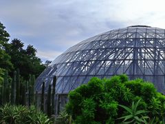 -深圳仙湖植物园