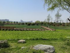 -汉长安城未央宫国家考古遗址公园