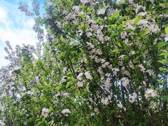 -天津东丽湖风景区