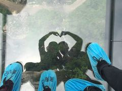 -梦幻奥陶纪景区