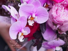 -花生FM_FLOWERS
