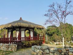 -东莞植物园