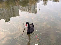 -杭州师范大学(下沙校区)