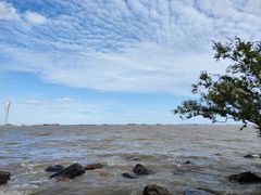 -上海吴淞炮台湾国家湿地公园