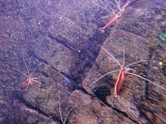 -沈阳海洋探索中心