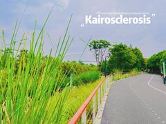 -上海山野camping·户外天幕烧烤·团建拓展营地