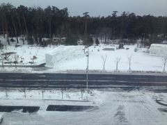 -金水鹤温泉国际酒店
