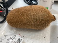 -海底捞火锅(津南永旺店生日主题店)