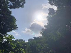 -深圳仙湖植物园