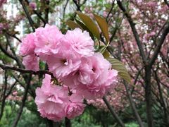 -苏州河梦清园环保主题公园