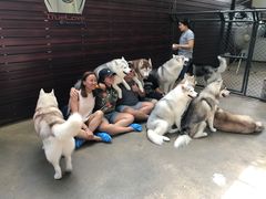 -TrueLove @ Neverland (Husky Cafe)