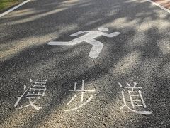 -艾溪湖湿地公园