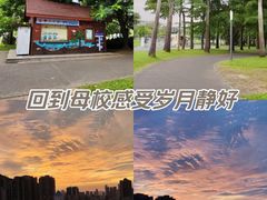 -深圳湾公园(南山区)
