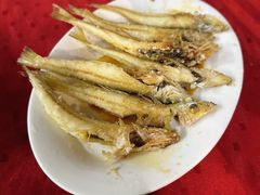 -蛇口康乐快餐鱼仔档(翠苑小区店)
