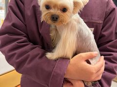 -FAELING PETS美天灵宠物(富力广场店)