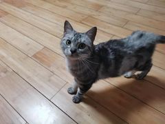 -暖阳宠物医院·犬猫康复中心·骨科