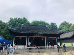 -上海佘山国家森林公园天马山园