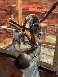 -Zoolung Zoolung动物主题公园(海信广场店)