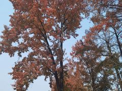 -楠溪江风景名胜区