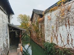 -乌镇东栅景区