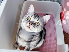 -萌兽医馆·眼科·异宠专科(三里屯店)