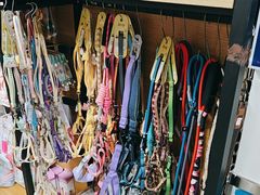 -康爱犬猫诊所·牙专科·骨外科·影像内科(丰宁店)