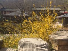 -黄花溪