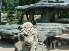 -北京野生动物园