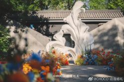 -CHOCO-启蔻婚礼(三亚公司)