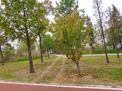 -南湖国家城市湿地公园