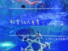 -正佳极地海洋世界