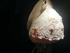-深圳珠宝博物馆
