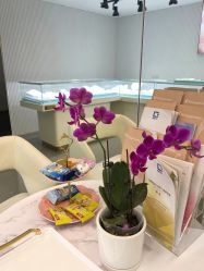 -JKHappiness培育钻石钻戒婚戒定制(天河国贸店)