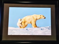 -罗红摄影艺术馆