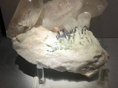 -湖南省地质博物馆