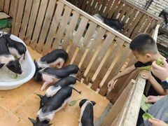 -HERRE·FARM 赫尔露营农场·团建聚会包场