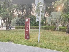 -宝安西湾红树林湿地公园