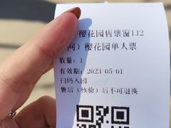 -莱阳濯村樱花园